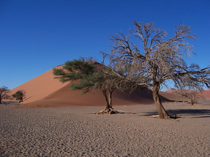 Namibiareise 2005