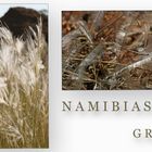 Namibias Gräser