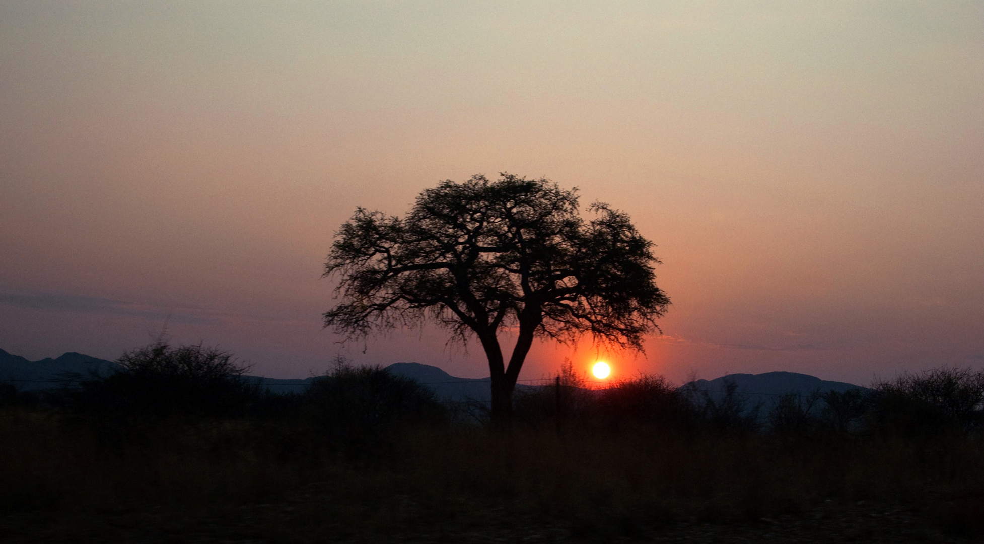 Namibias setting sun II