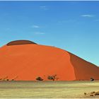 Namibia,Sossusvlei, - " Aufstieg in den Himmel ... "