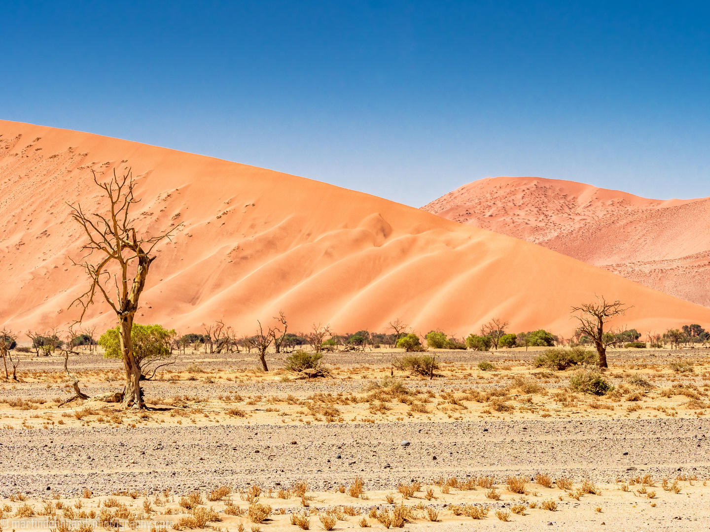 Namibische Landschaft mit Dünen
