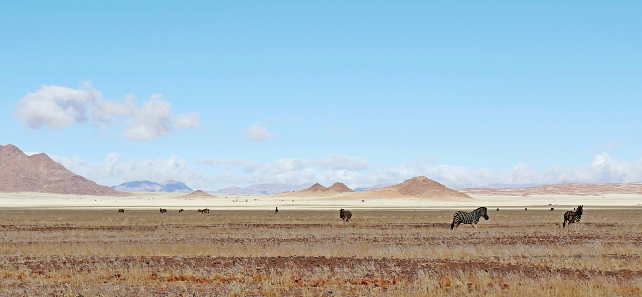 Namibische Steppe