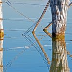 Namibische Zäune im Wasser