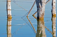 Namibische Zäune im Wasser