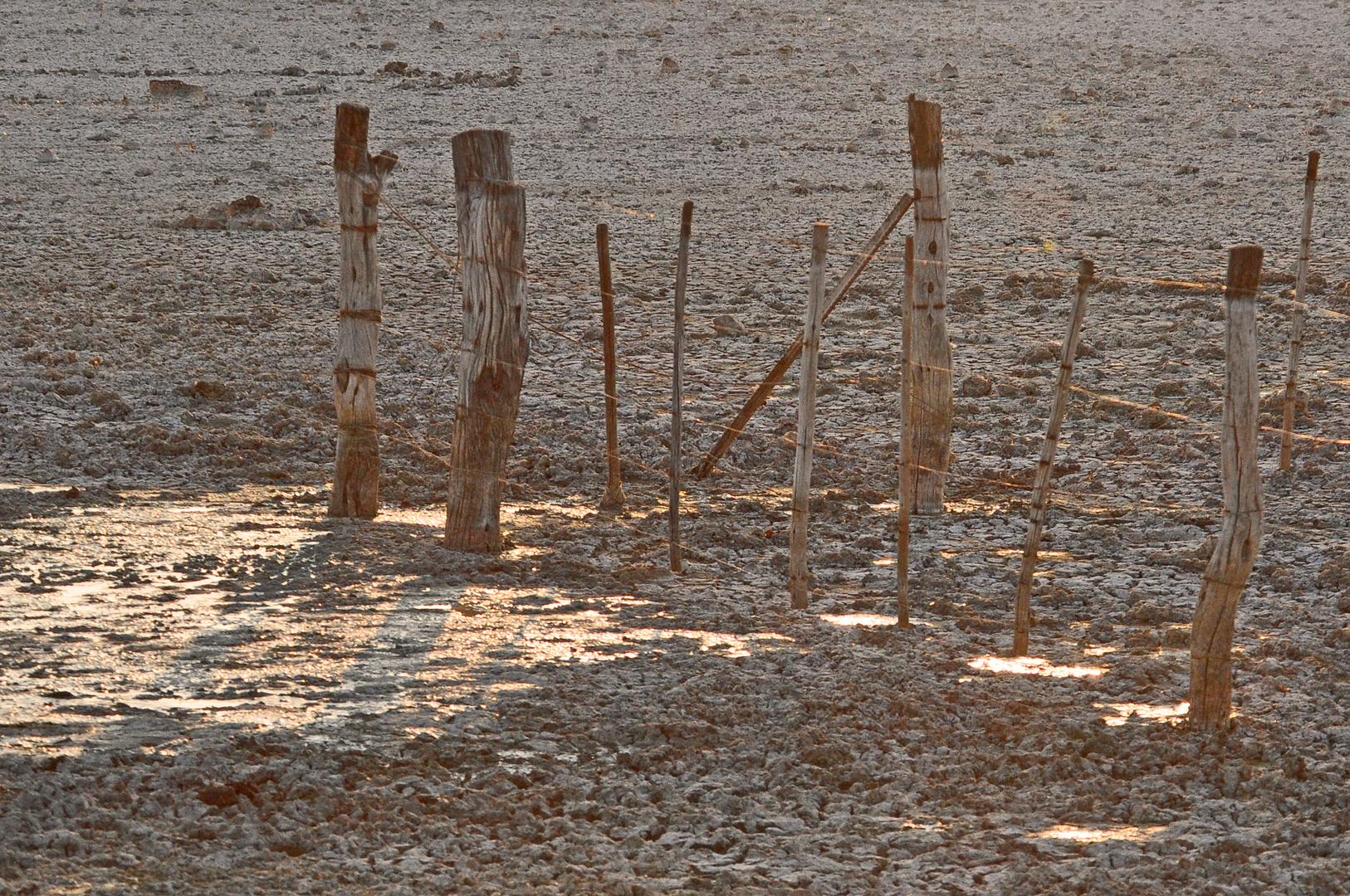 Namibische Zäune ohne Wasser