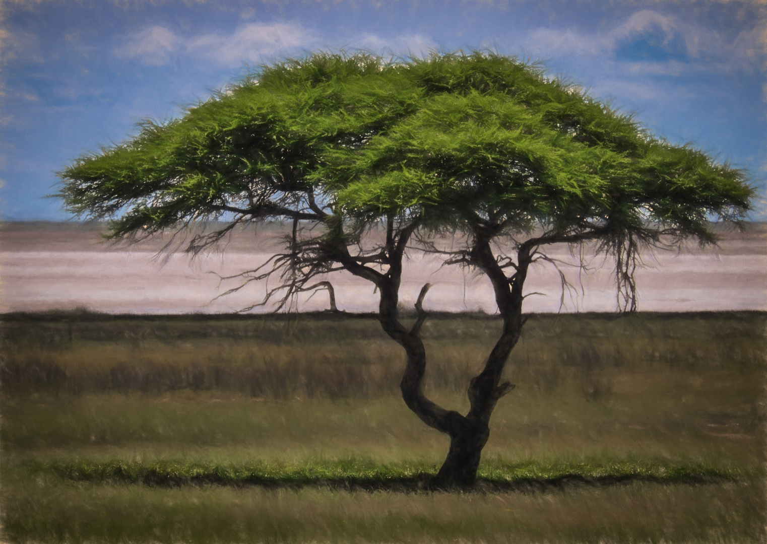 Namibischer Baum