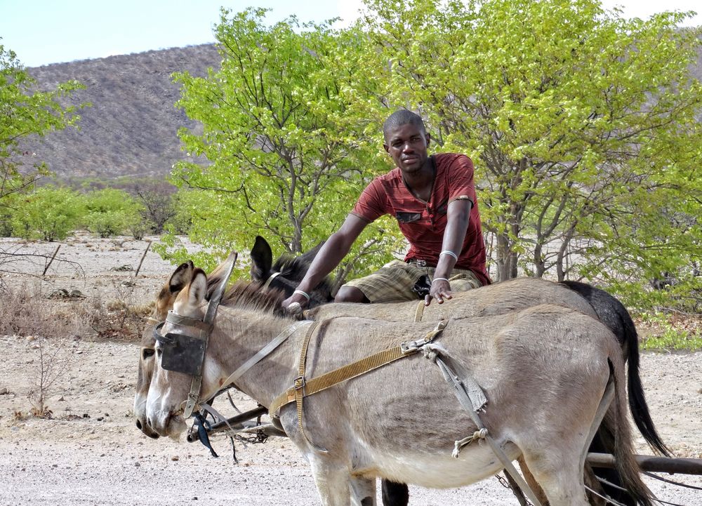 Namibischer Farmer