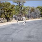 Namibischer Zebrastreifen (Linksverkehr)