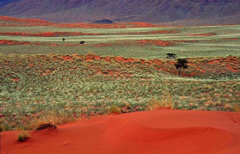 NamibRand Nature Reserve 2