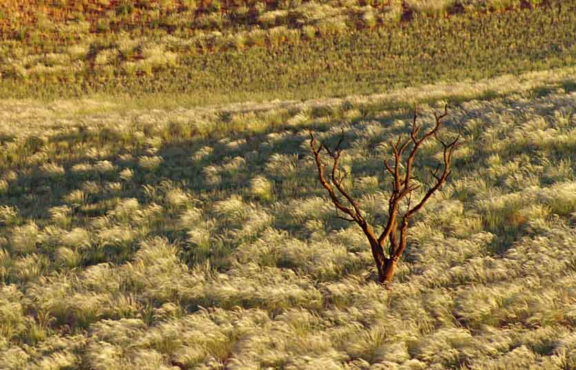 NamibRand Nature Reserve 24