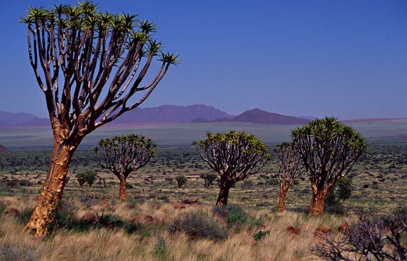 NamibRand Nature Reserve 25