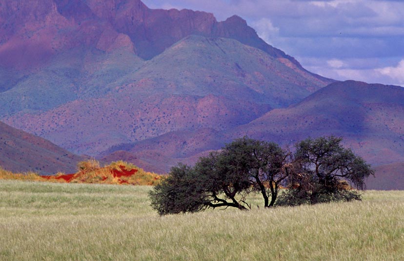 NamibRand Nature Reserve 3