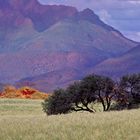 NamibRand Nature Reserve 3