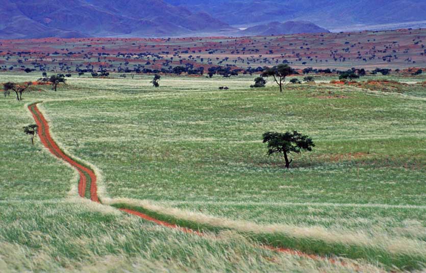 NamibRand Nature Reserve 4