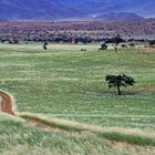 NamibRand Nature Reserve 4