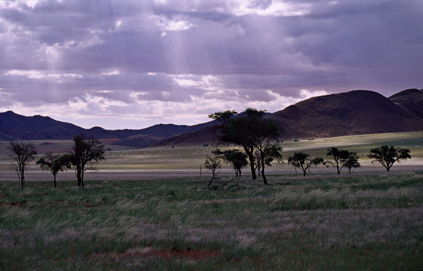 NamibRand Nature Reserve 6