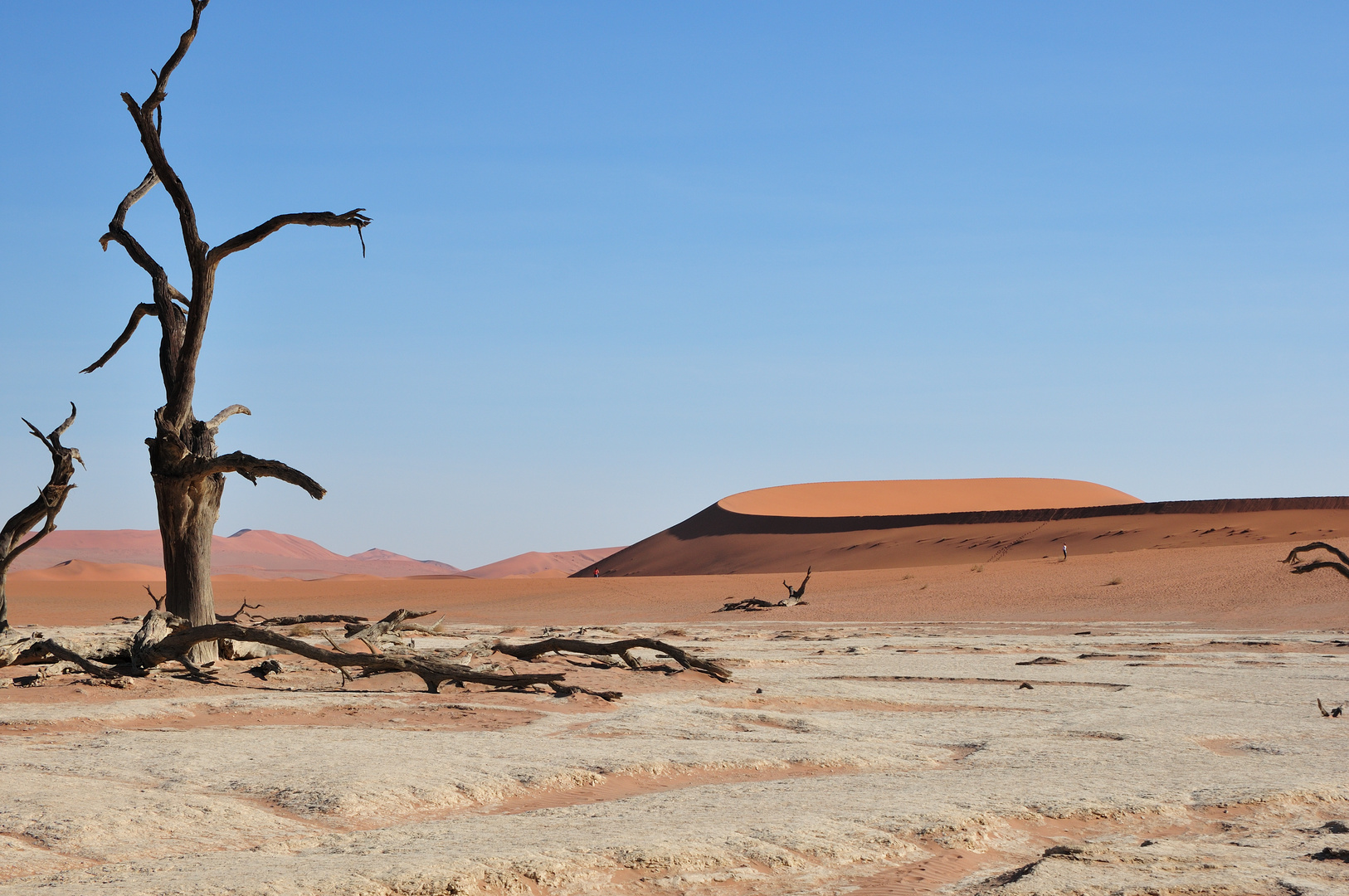 Namibwüste bei Sossusvlei