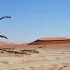 Namibwüste bei Sossusvlei