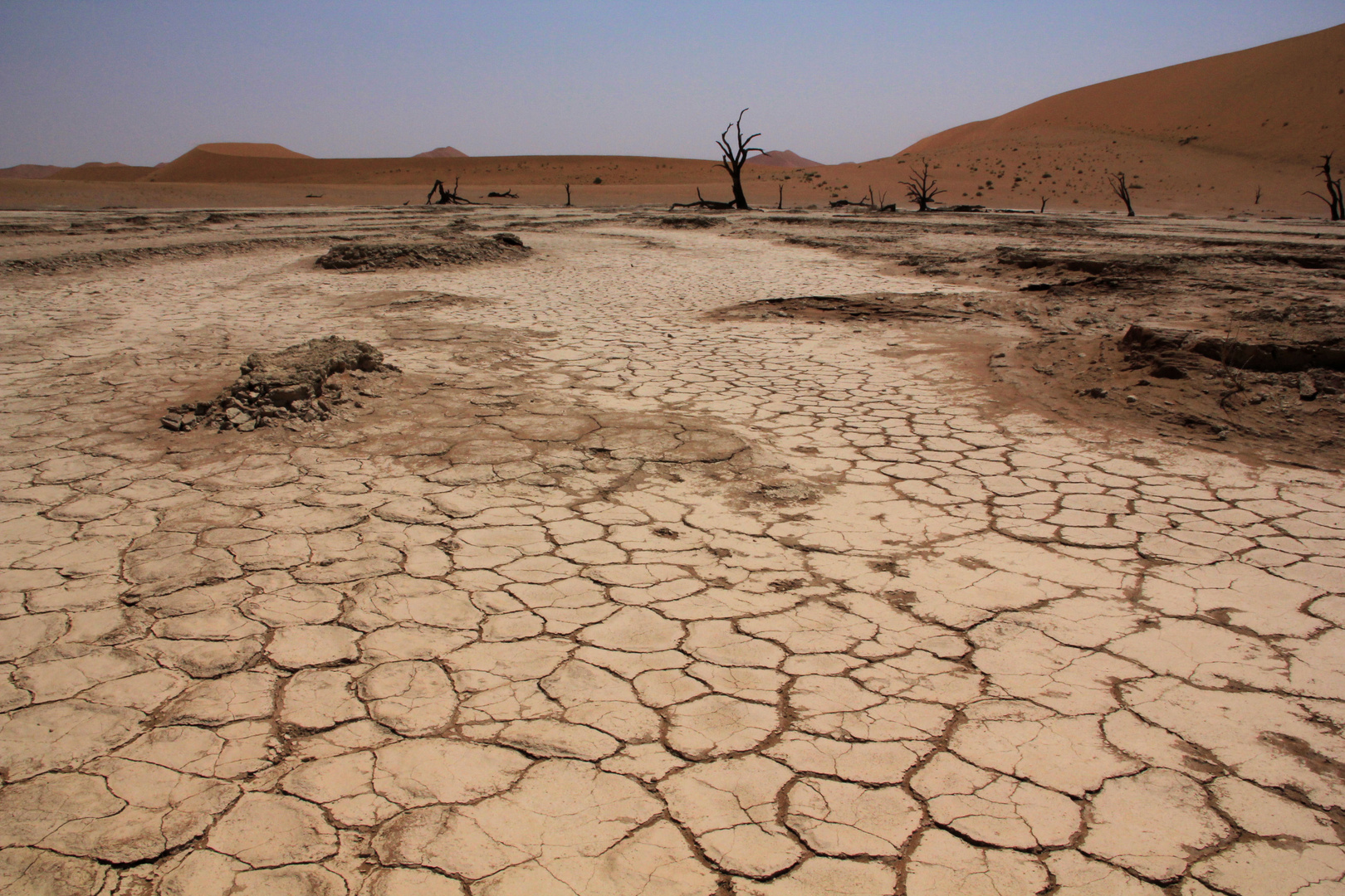 Namibwüste - Deadvlei