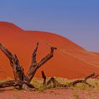 Namibwüste - die älteste weltweit...