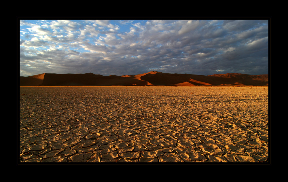 Namibwüste im Abendlicht