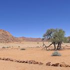 Namtib Desert Lodge_1