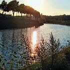 Namur au fil de l'eau.