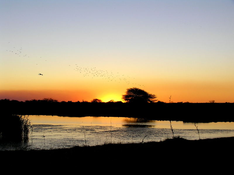 Namutoni - ein Sonnenuntergang