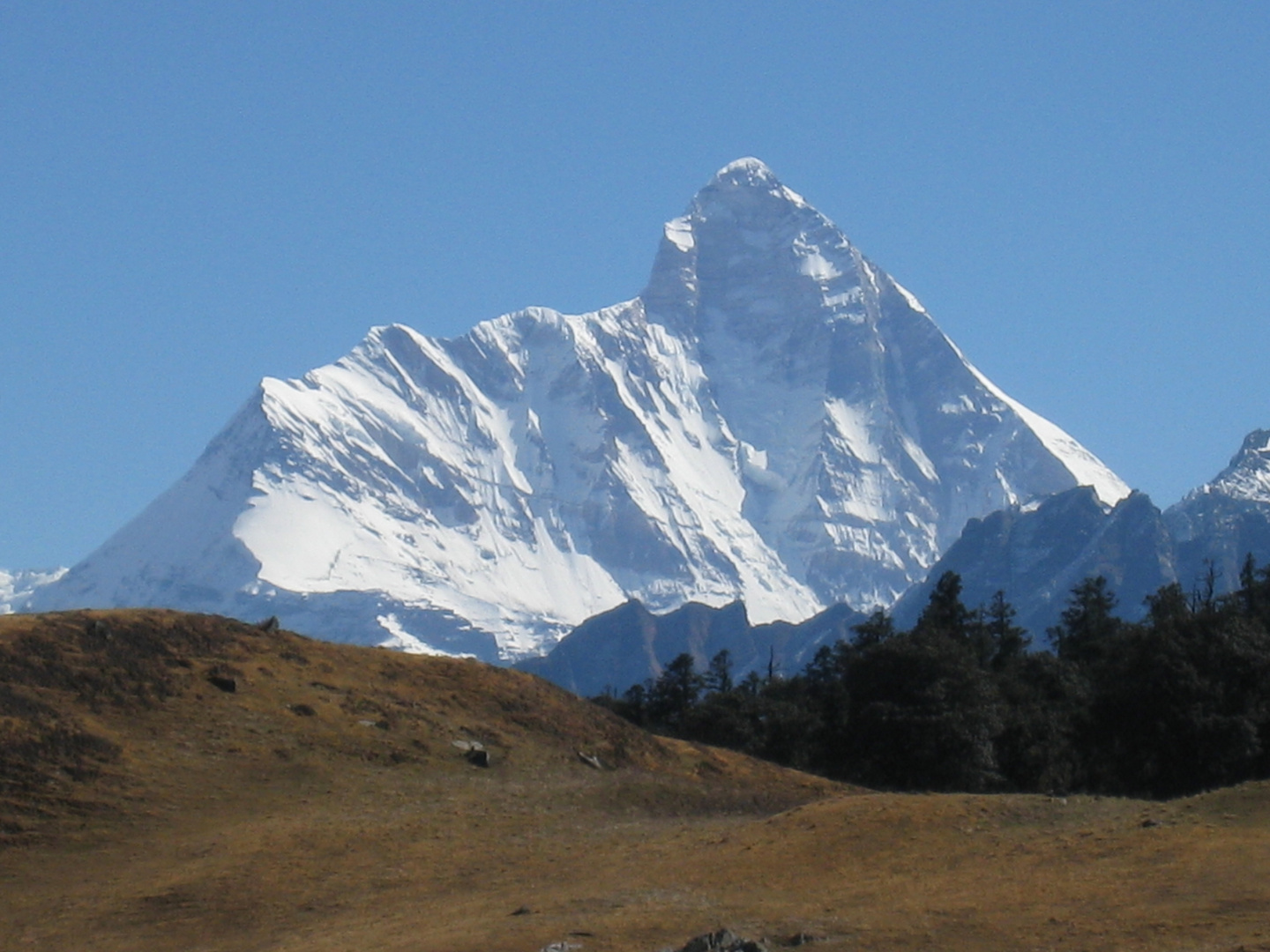 Nanda Devi - Close up from Golden Meddows