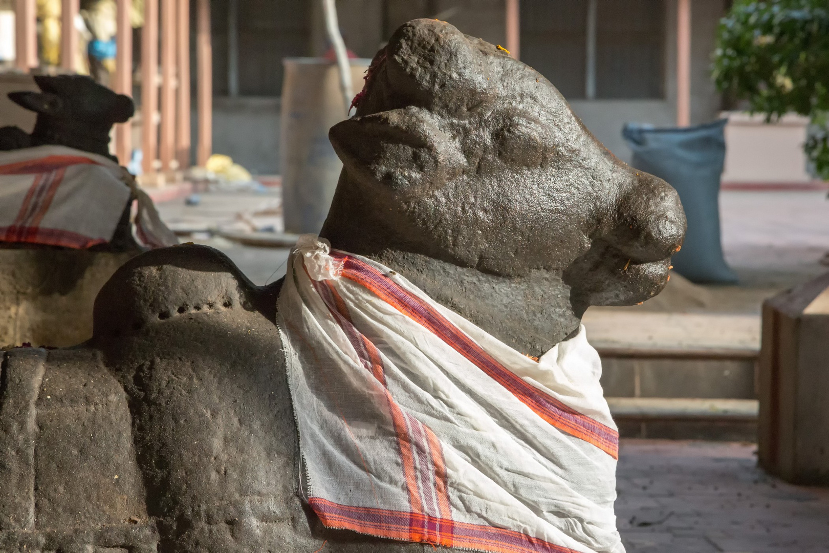 Nandi dans la cour du musée "Art gallery", Tanjore