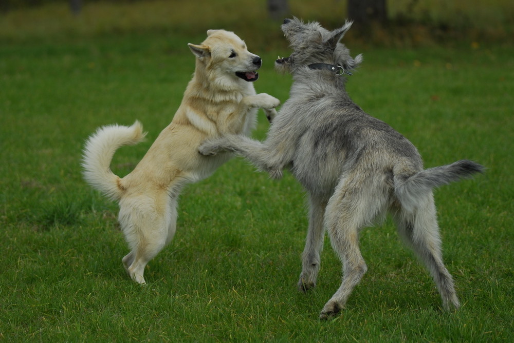 Nando und Beni...