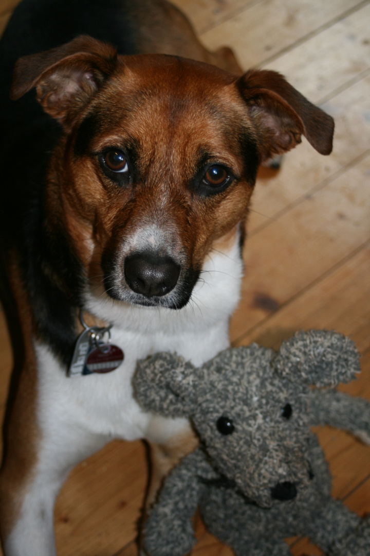 Nando und sein Kuscheltier