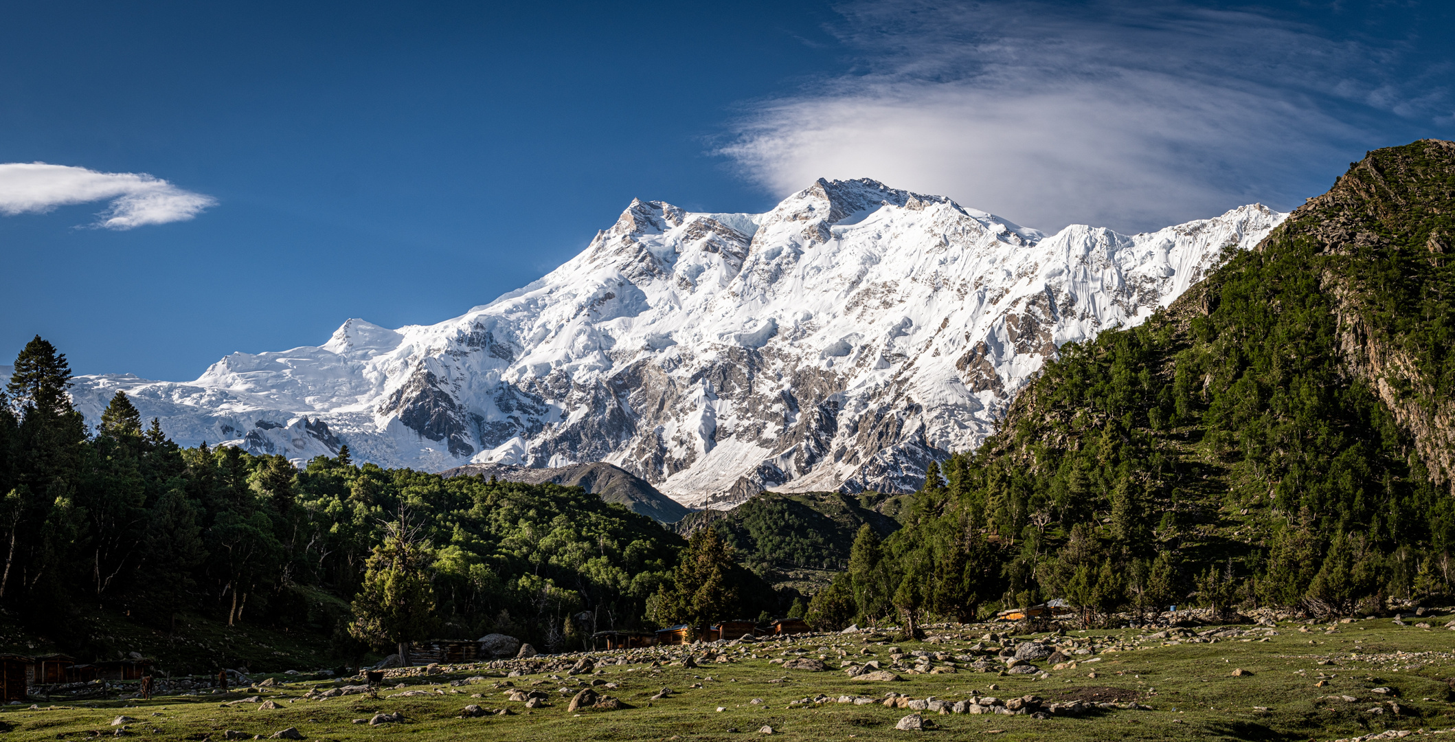 Nanga Parbat.....