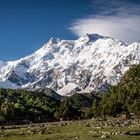 Nanga Parbat.....