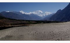 nanga parbat 8126