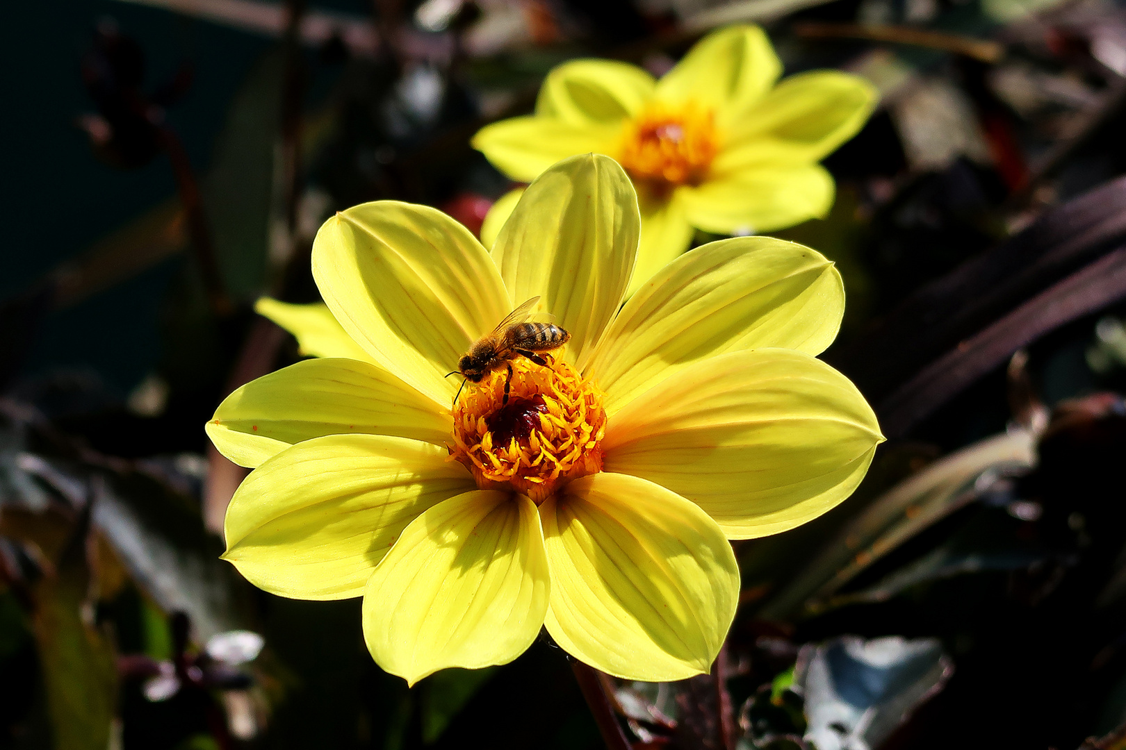 Nanu, ist denn schon wieder Frühling