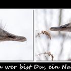 Nanu, wer bist Du ?