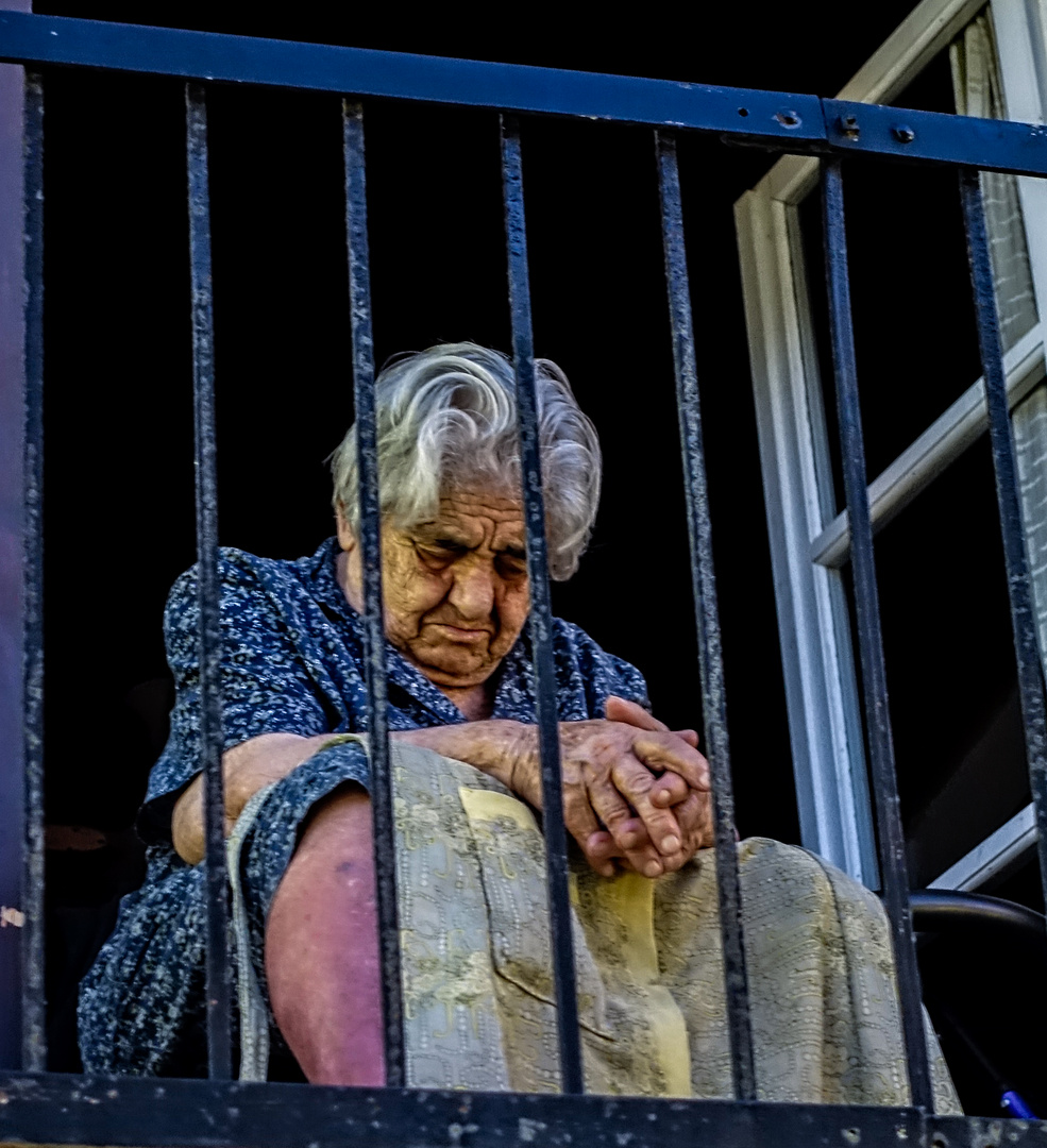 Nap behind a fence