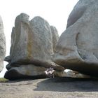 Nap in the rock field