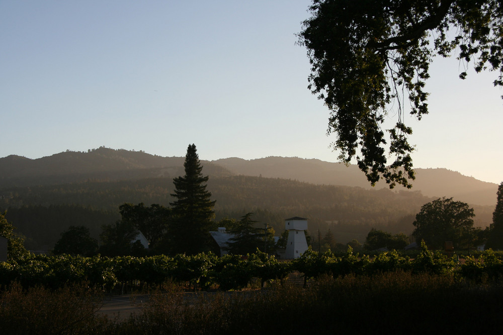 Napa Valley sunset