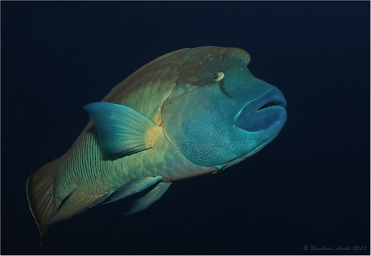 Napi Foto & Bild meer, natur, ozean Bilder auf