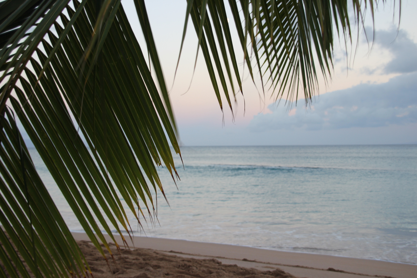 Napili Kai Beach