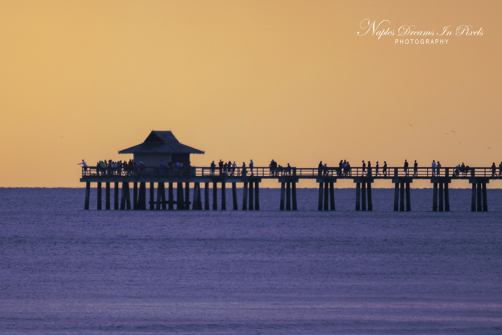 Naples Pier, Florida