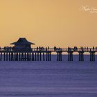 Naples Pier, Florida