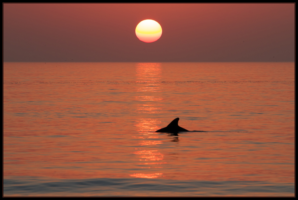 Naples Sunset