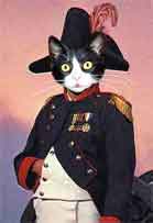 Napoleon-cat