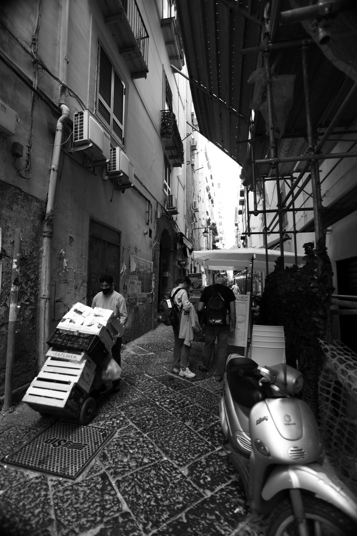 Napoli 5