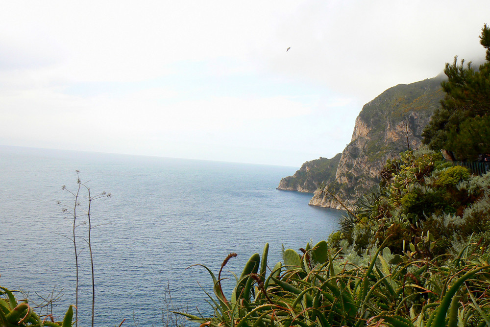 Napoli - A capri