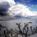 Napoli, il Vesuvio visto da Sorrento.