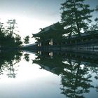 nara, japan